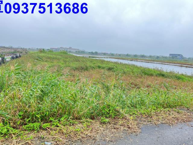 宜蘭壯圍農地-6