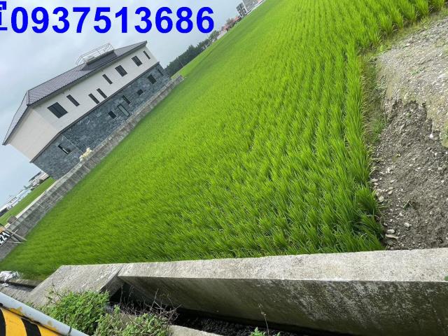 礁溪農地-7