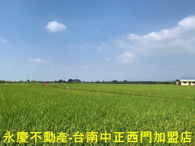 台南農地-10