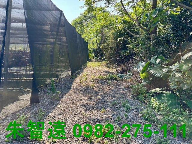台南楠西農地-11