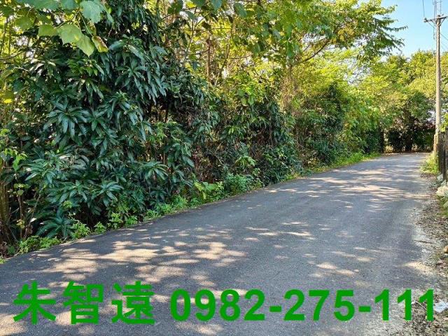 台南楠西農地-8