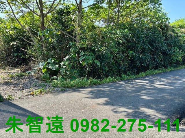 台南楠西農地-9