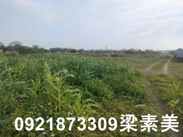 歸仁農地-2