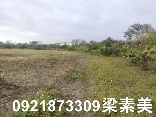 歸仁農地-3