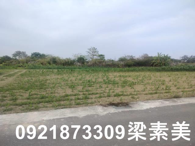 歸仁農地-5