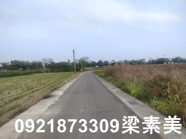 歸仁農地-7