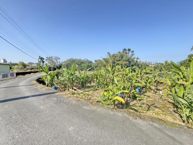 南投名間農地-10