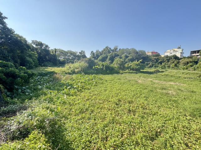南投名間農地-1