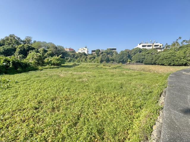南投名間農地-3
