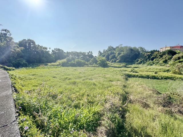 南投名間農地-4