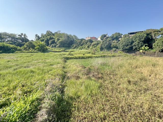 南投名間農地-5