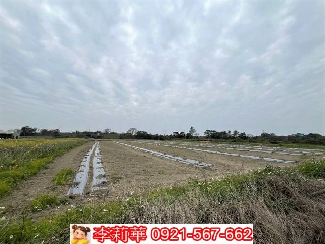 官田農地-9