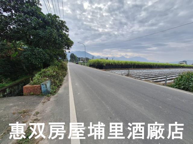 南投埔里農地-3