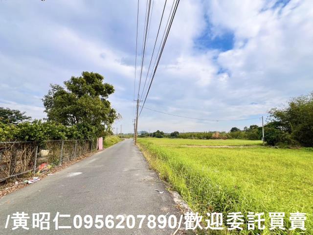 歸仁農地-2