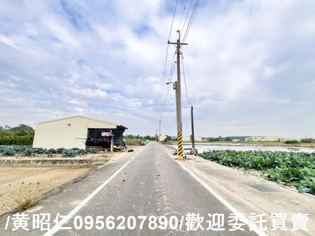 歸仁農地-4