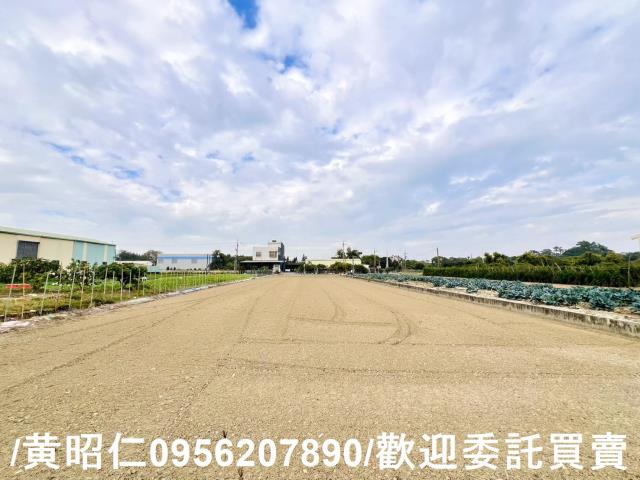 歸仁農地-5