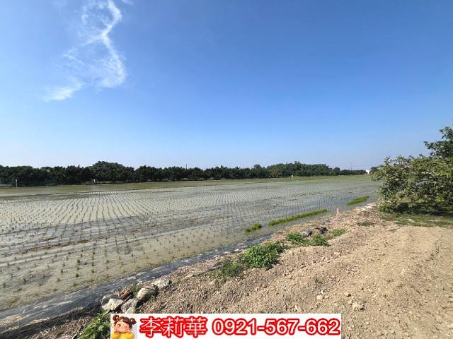 官田農地-10