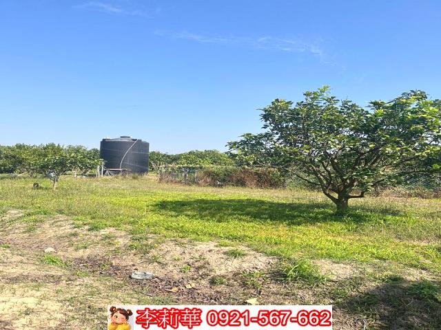 官田農地-2
