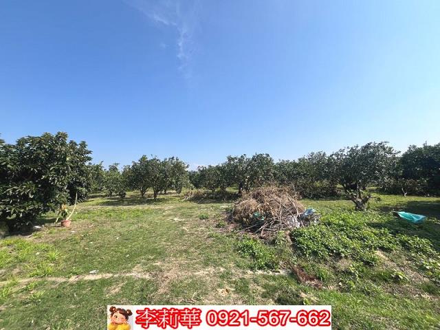 官田農地-4