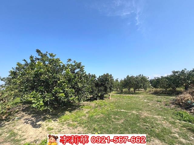 官田農地-5