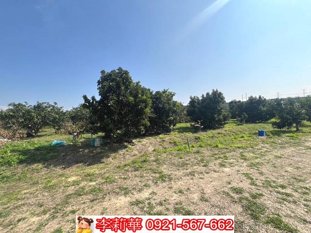 官田農地-7