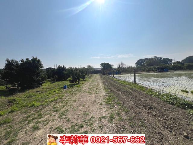 官田農地-9