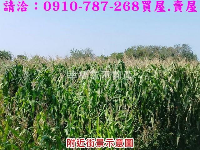 將軍農地-3