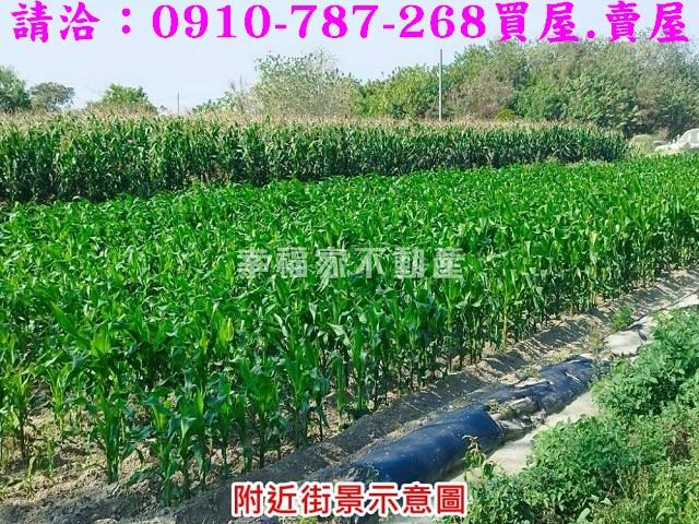 將軍農地-5