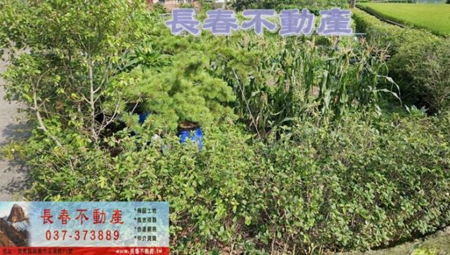 苗栗公館農地-1