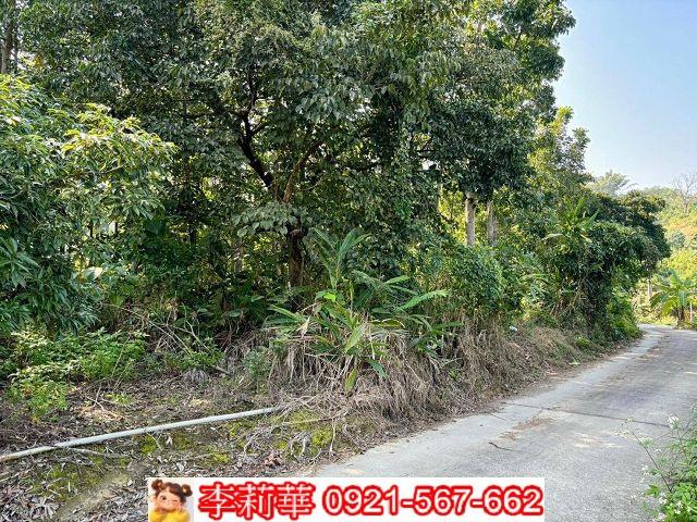 台南農地-6