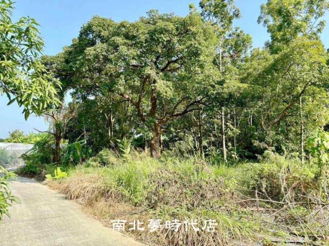 台南南化農地-3