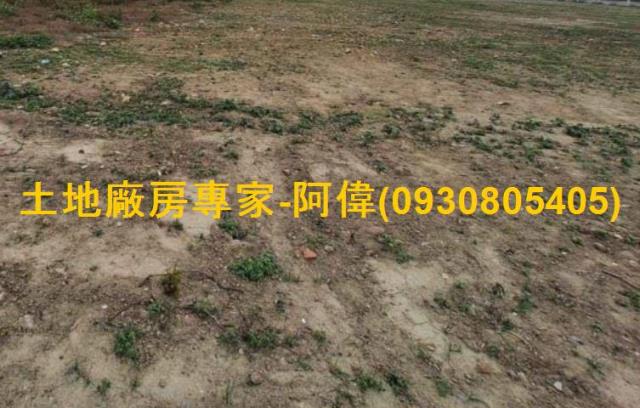 麻豆工業地-1