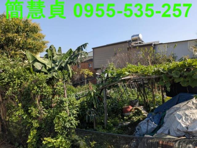 南投建地-2