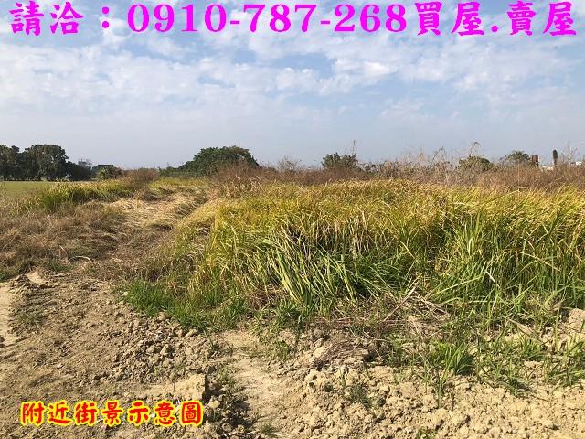 台南善化農地-11