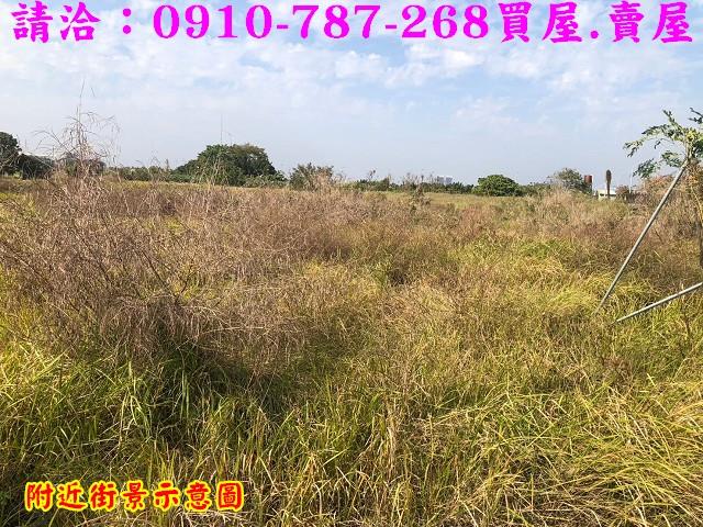 台南善化農地-8