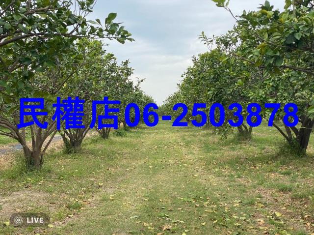 台南麻豆農地-8