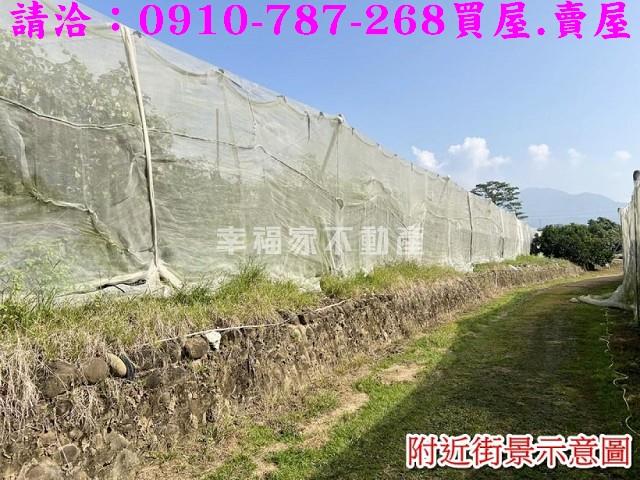 台南玉井農地-10
