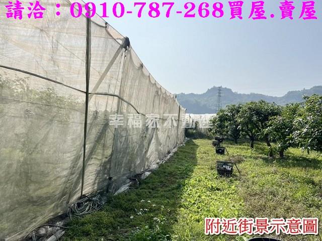 台南玉井農地-6