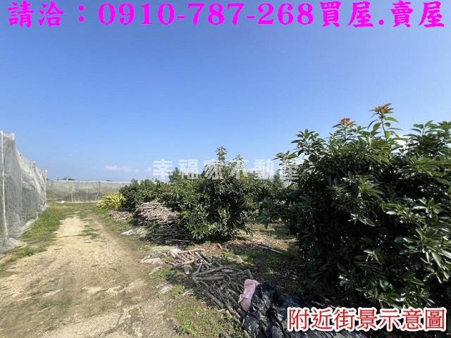 台南玉井農地-8