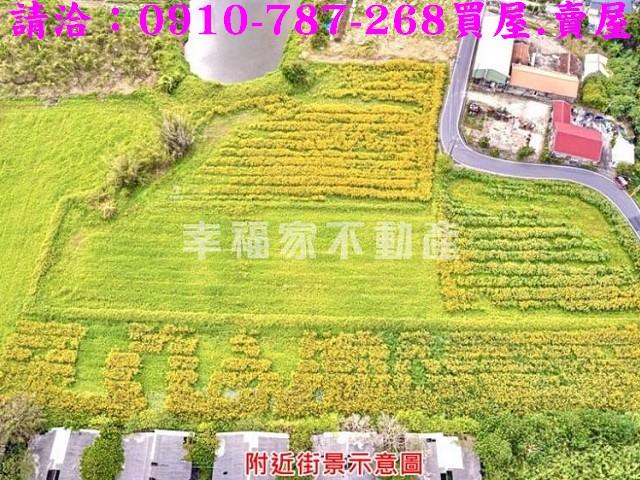 台南農地-3