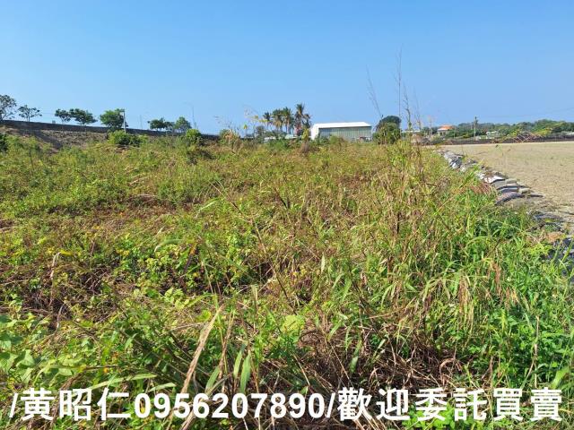 仁德農地-2