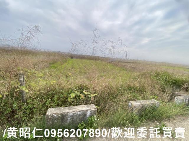台南新市農地-10