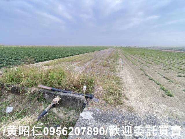 台南新市農地-3