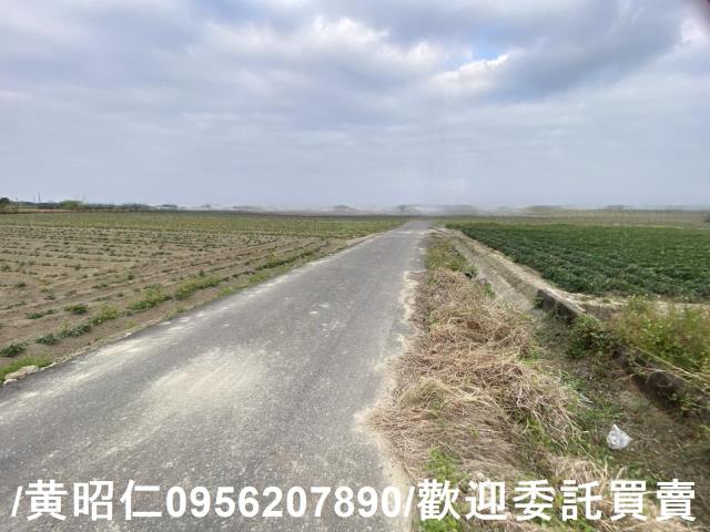 台南新市農地-7