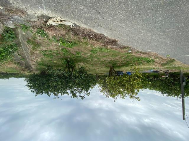 麻豆農地-3