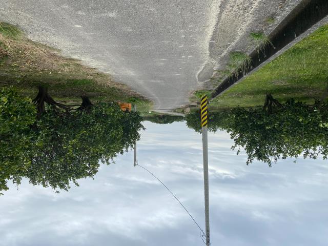 麻豆農地-7