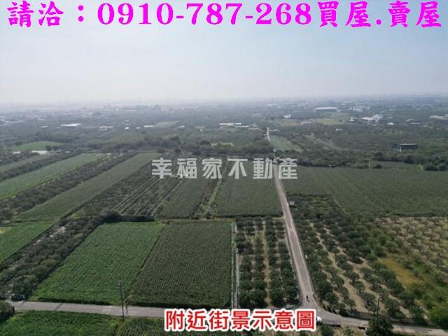 麻豆農地-10