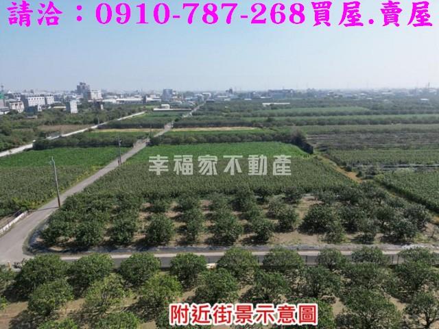 麻豆農地-13