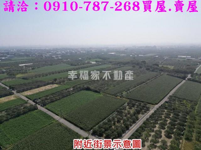 麻豆農地-14