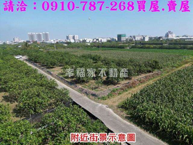 麻豆農地-2